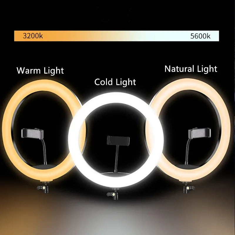 12 Inch LED Ring Light, Dimmable Photography Lighting Phone Camera Fill Light, USB Powered, Makeup Selfie Studio Light
